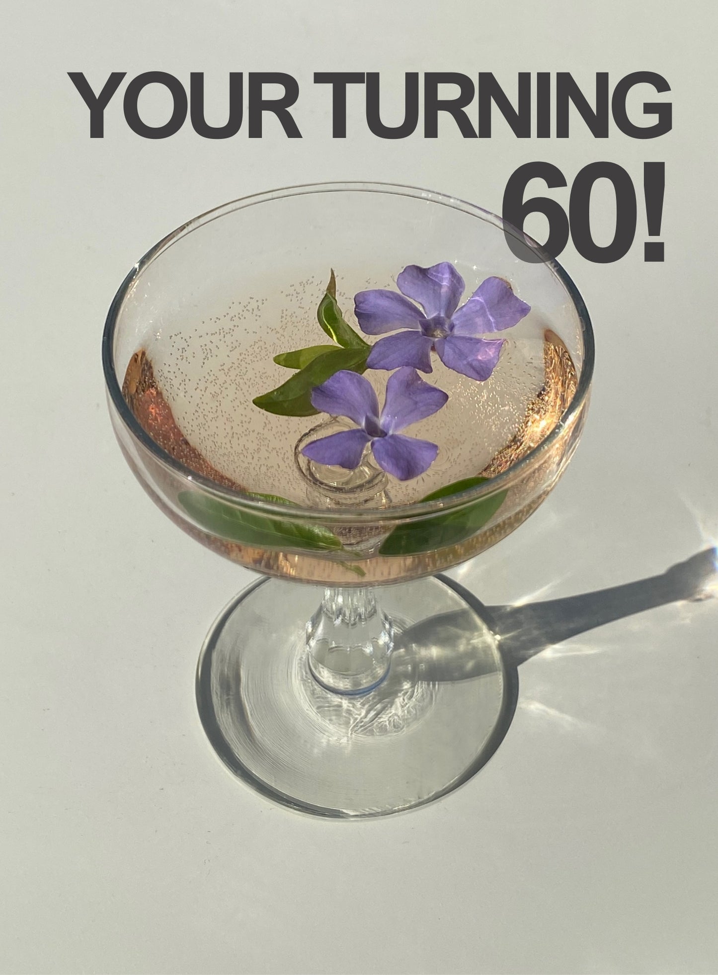 Happy 60th Birthday